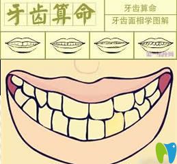人的牙齒有多少顆？網(wǎng)傳28顆牙齒的命運是大貴之人真的嗎