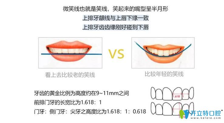 美萊口腔牙齒黃金分割比例圖