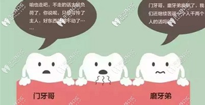 拔掉第二磨牙不及時(shí)修復(fù)，危害遠(yuǎn)比你想象中的大