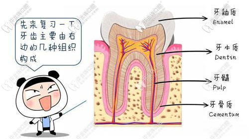 葉宏醫(yī)生的擅長(zhǎng)項(xiàng)目